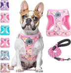 Step-In No-Pull Dog Harness & Leash Set