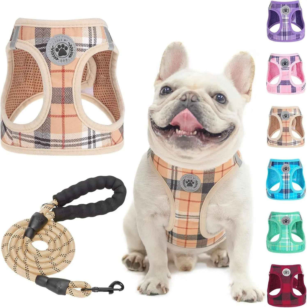 Step-In No-Pull Dog Harness & Leash Set