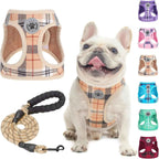 Step-In No-Pull Dog Harness & Leash Set