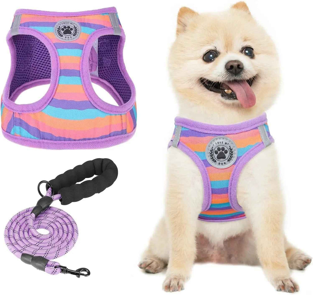 Step-In No-Pull Dog Harness & Leash Set