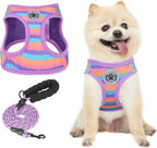 Step-In No-Pull Dog Harness & Leash Set