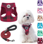 Step-In No-Pull Dog Harness & Leash Set