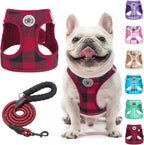 Step-In No-Pull Dog Harness & Leash Set
