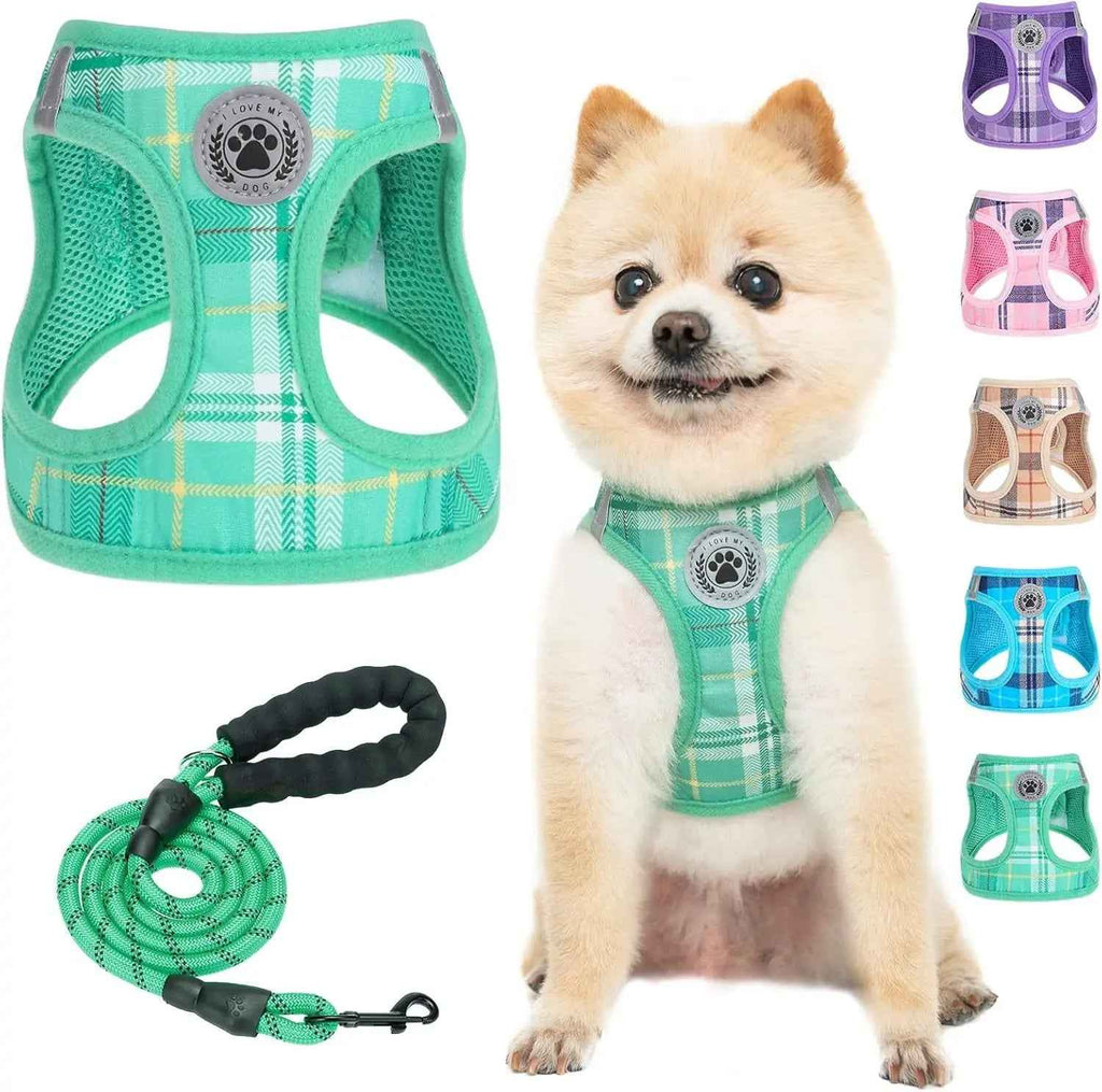 Step-In No-Pull Dog Harness & Leash Set
