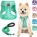 Step-In No-Pull Dog Harness & Leash Set