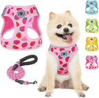 Step-In No-Pull Dog Harness & Leash Set