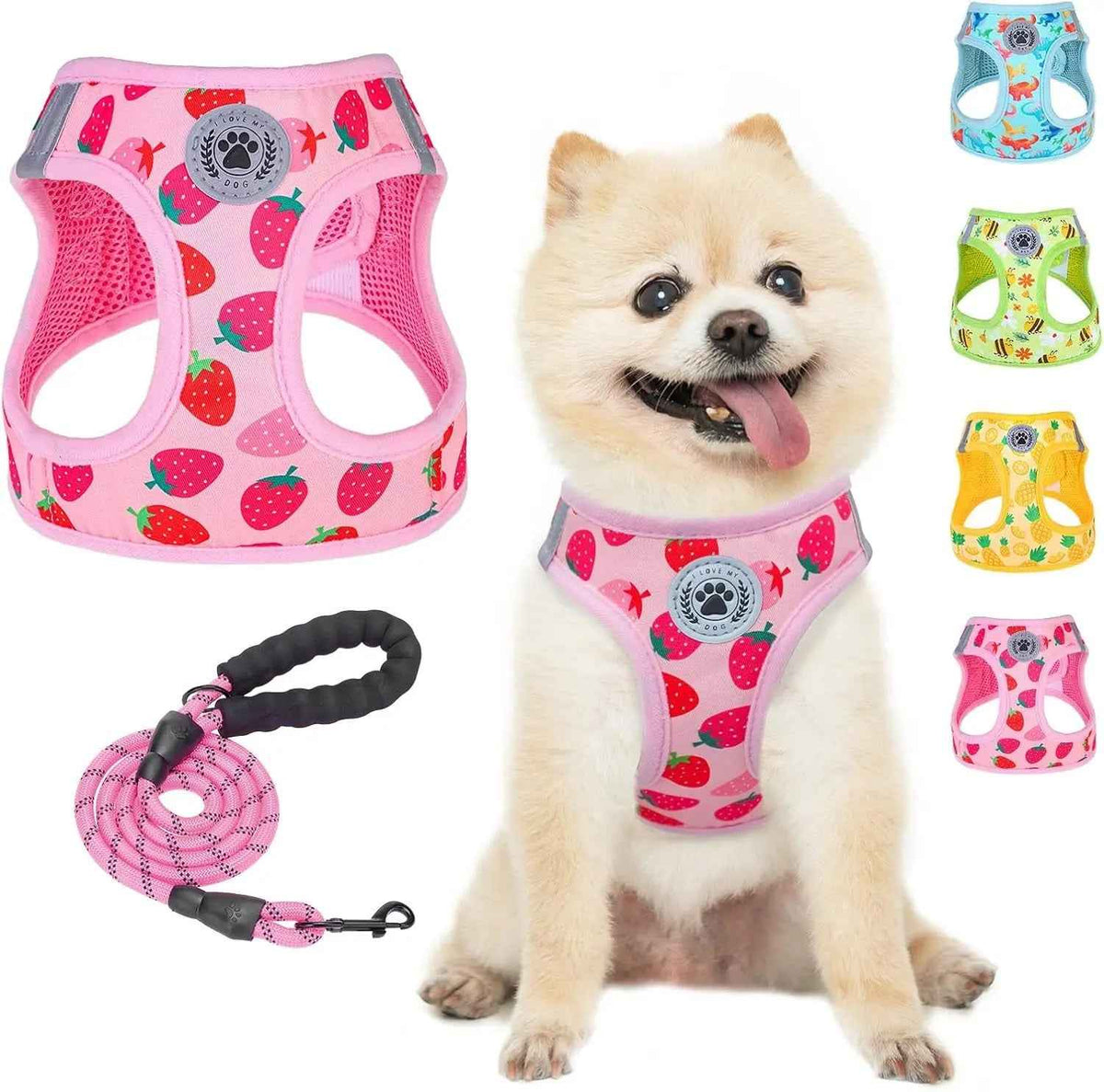 Step-In No-Pull Dog Harness & Leash Set