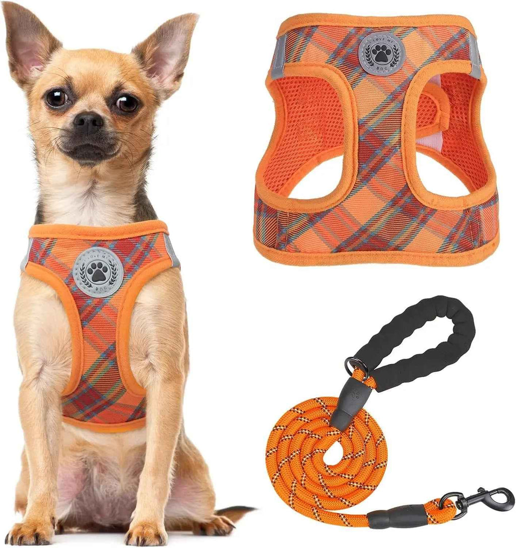 Step-In No-Pull Dog Harness & Leash Set