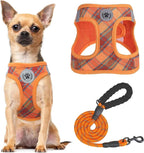 Step-In No-Pull Dog Harness & Leash Set