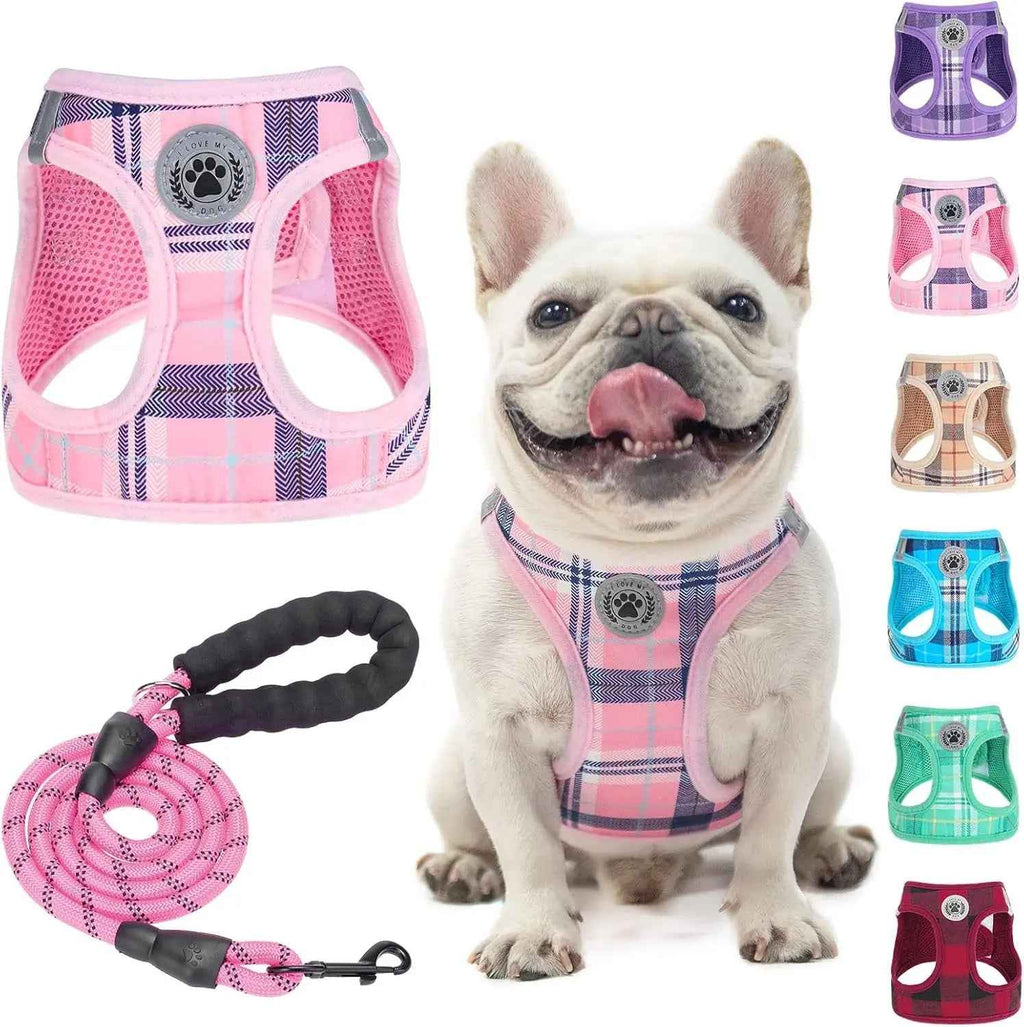 Step-In No-Pull Dog Harness & Leash Set