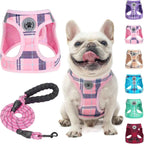 Step-In No-Pull Dog Harness & Leash Set