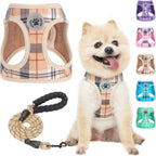 Step-In No-Pull Dog Harness & Leash Set
