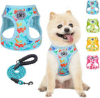 Step-In No-Pull Dog Harness & Leash Set