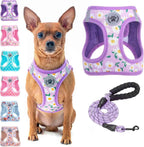 Step-In No-Pull Dog Harness & Leash Set
