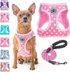 Step-In No-Pull Dog Harness & Leash Set