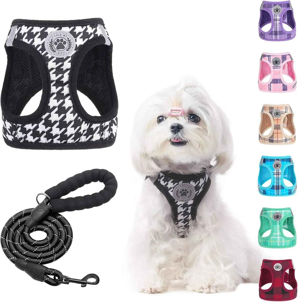 Step-In No-Pull Dog Harness & Leash Set