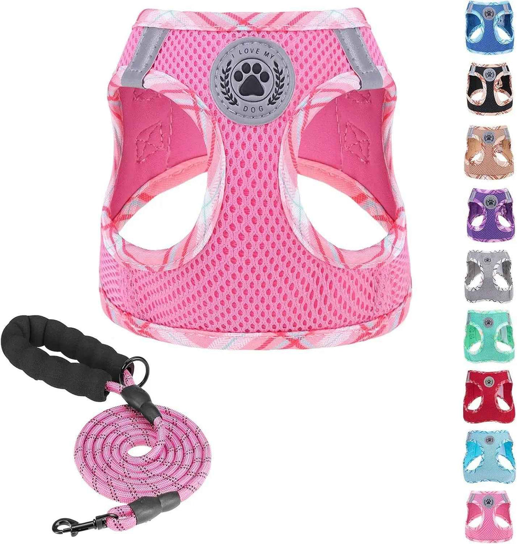 Step-In No-Pull Dog Harness & Leash Set