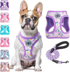 Step-In No-Pull Dog Harness & Leash Set