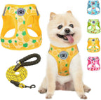 Step-In No-Pull Dog Harness & Leash Set