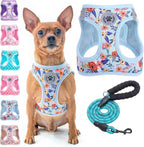 Step-In No-Pull Dog Harness & Leash Set