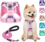 Step-In No-Pull Dog Harness & Leash Set