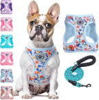 Step-In No-Pull Dog Harness & Leash Set