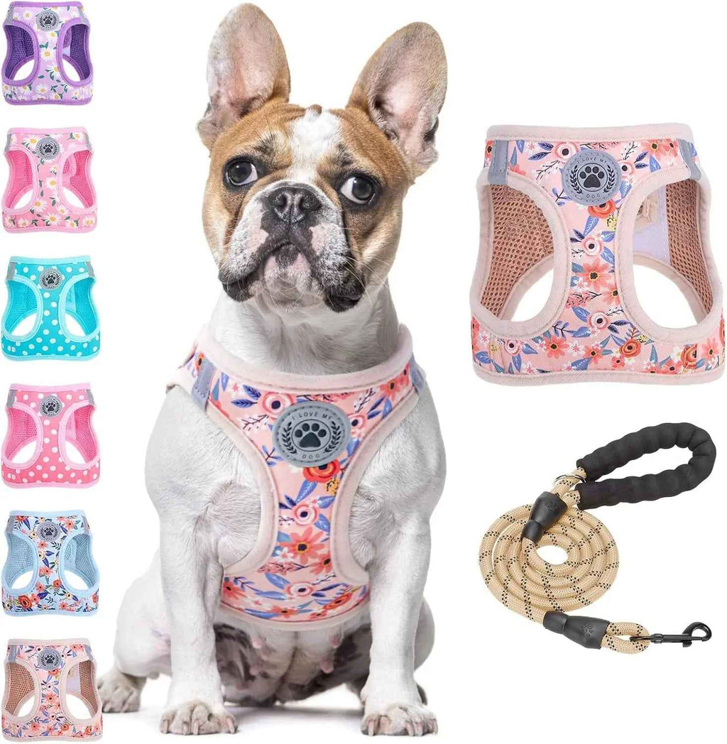 Step-In No-Pull Dog Harness & Leash Set