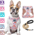 Step-In No-Pull Dog Harness & Leash Set
