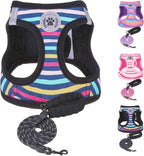 Step-In No-Pull Dog Harness & Leash Set