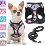 Step-In No-Pull Dog Harness & Leash Set