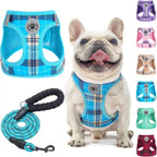 Step-In No-Pull Dog Harness & Leash Set