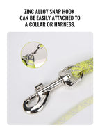 Dog Rope Leash