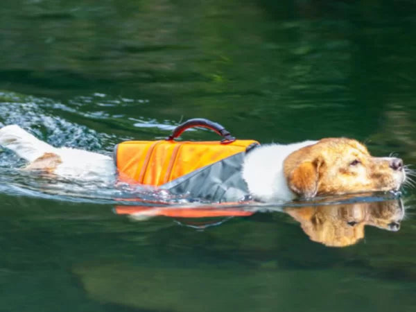 TrueLove Life Vest