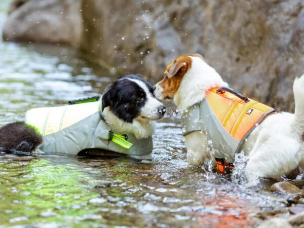 TrueLove Life Vest