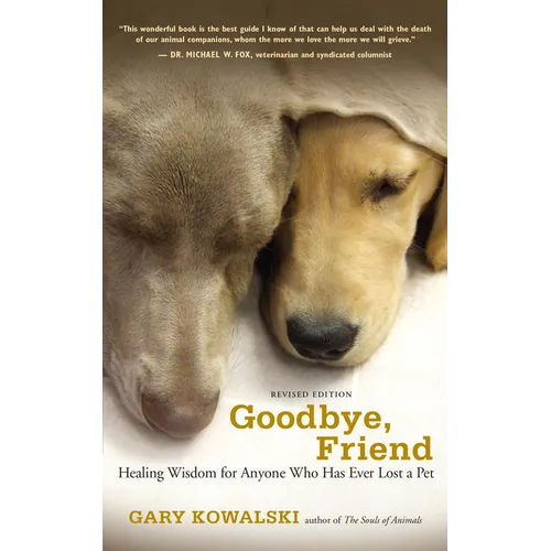 Goodbye, Friend: Healing Wisdom - Paperback