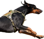 Tactical No-Pull Dog Harness with Handle