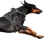 Tactical No-Pull Dog Harness with Handle