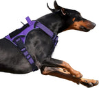 Tactical No-Pull Dog Harness with Handle