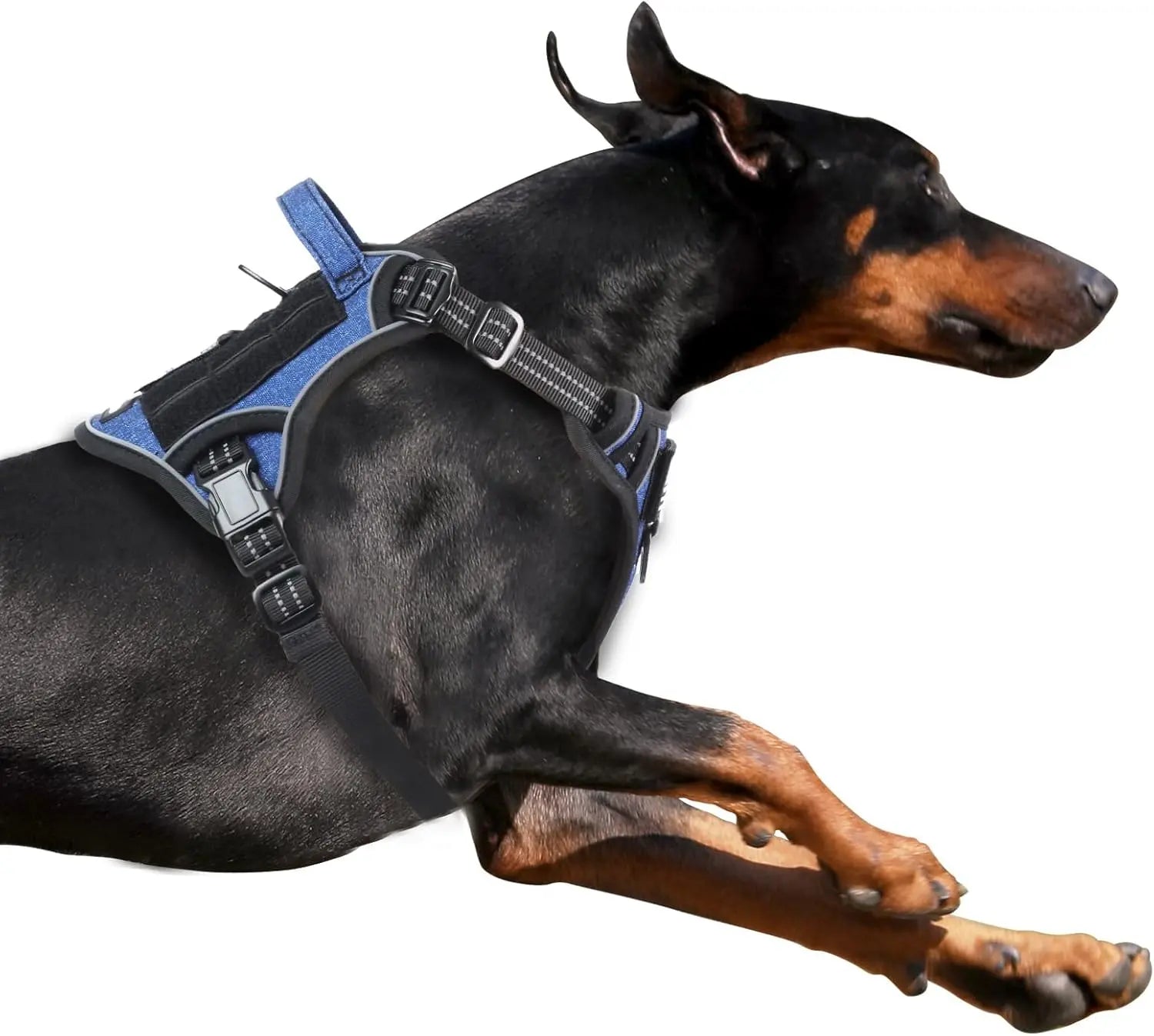 Tactical No-Pull Dog Harness with Handle