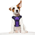 Tactical No-Pull Dog Harness with Handle