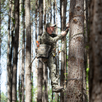 BOTTOMLAND: Tree Hugger (Regular or Mini Size)