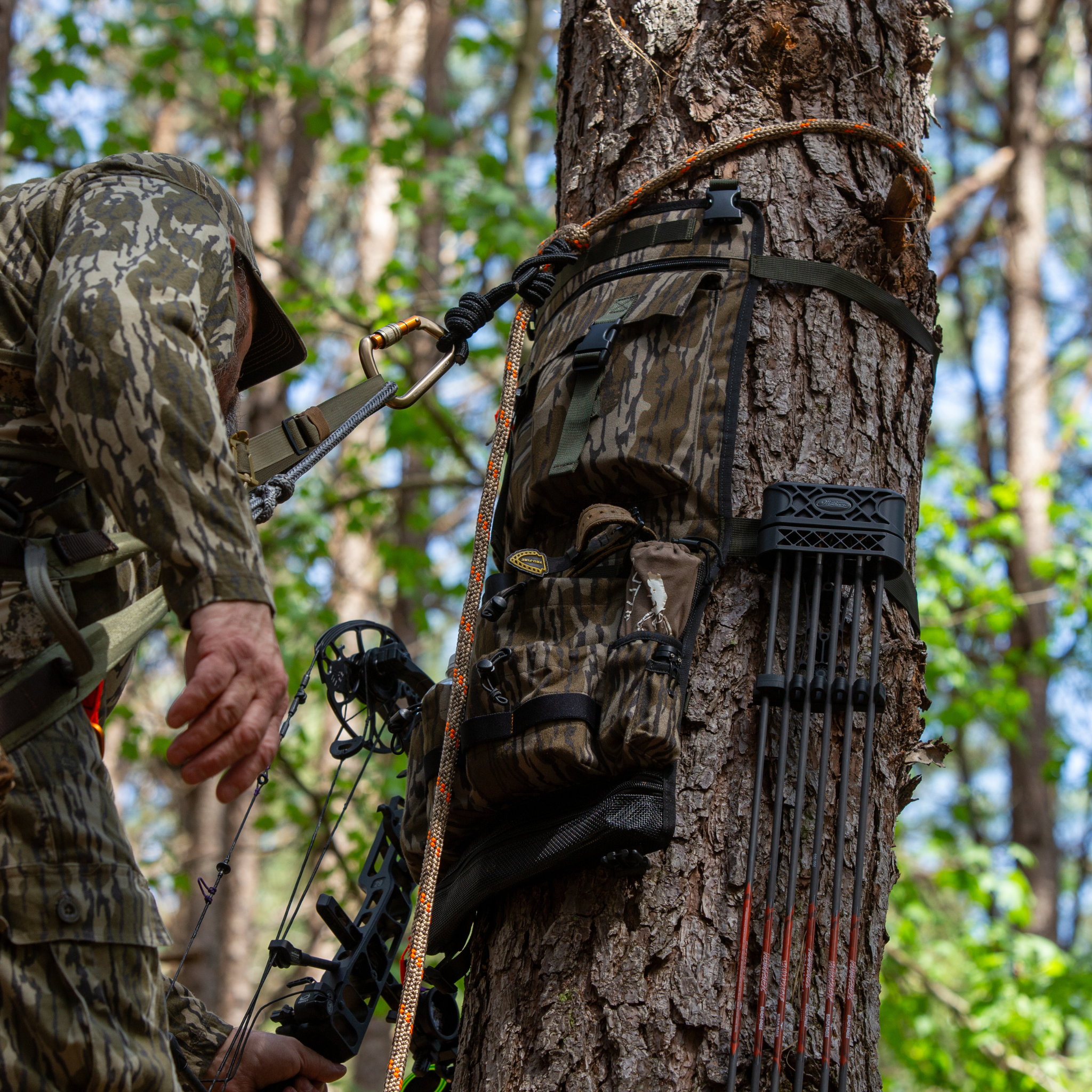 BOTTOMLAND: Tree Hugger (Regular or Mini Size)