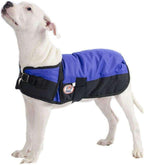 Waterproof Winter Dog Coat