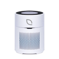 Air Sentry 300