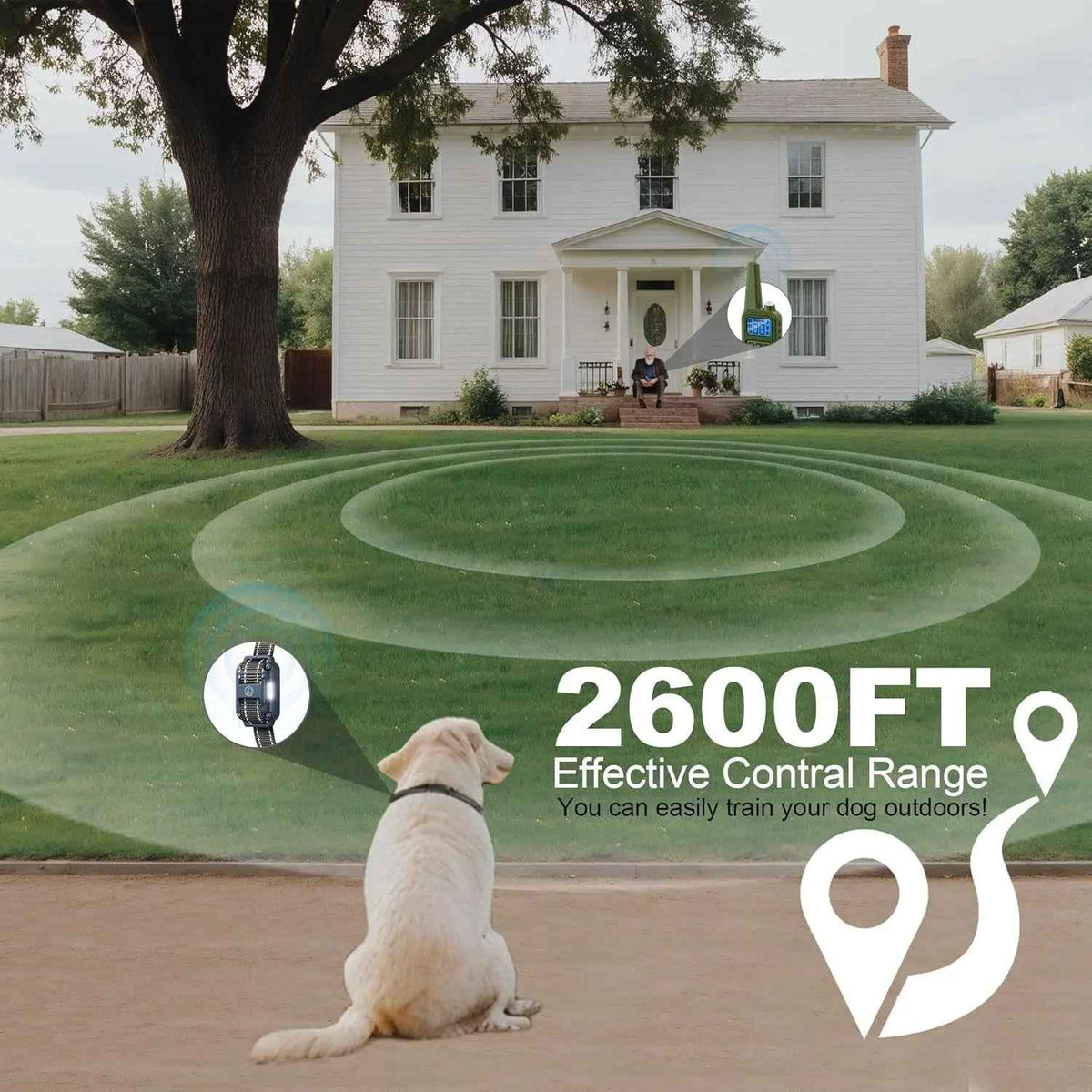 Remote Dog Training Collar for 3 Dogs