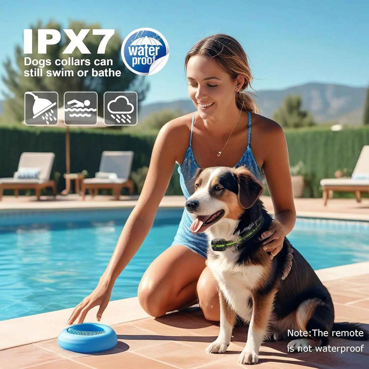 Remote Dog Training Collar for 3 Dogs