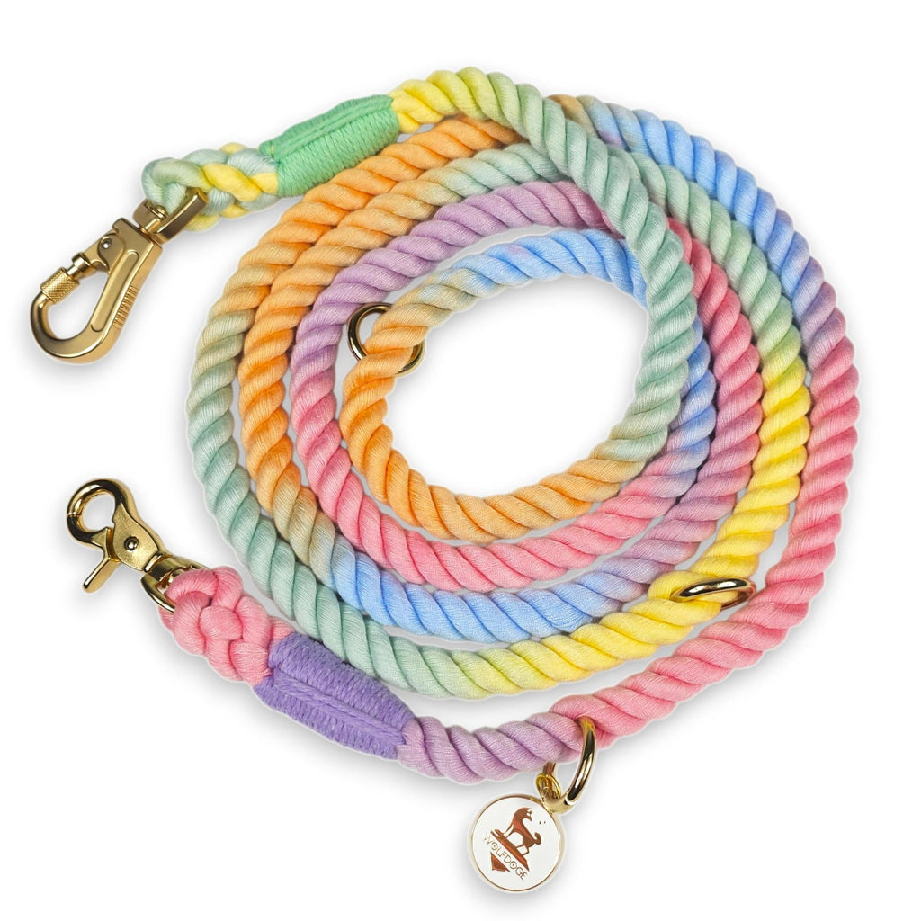 Hands-Free Rope Leash