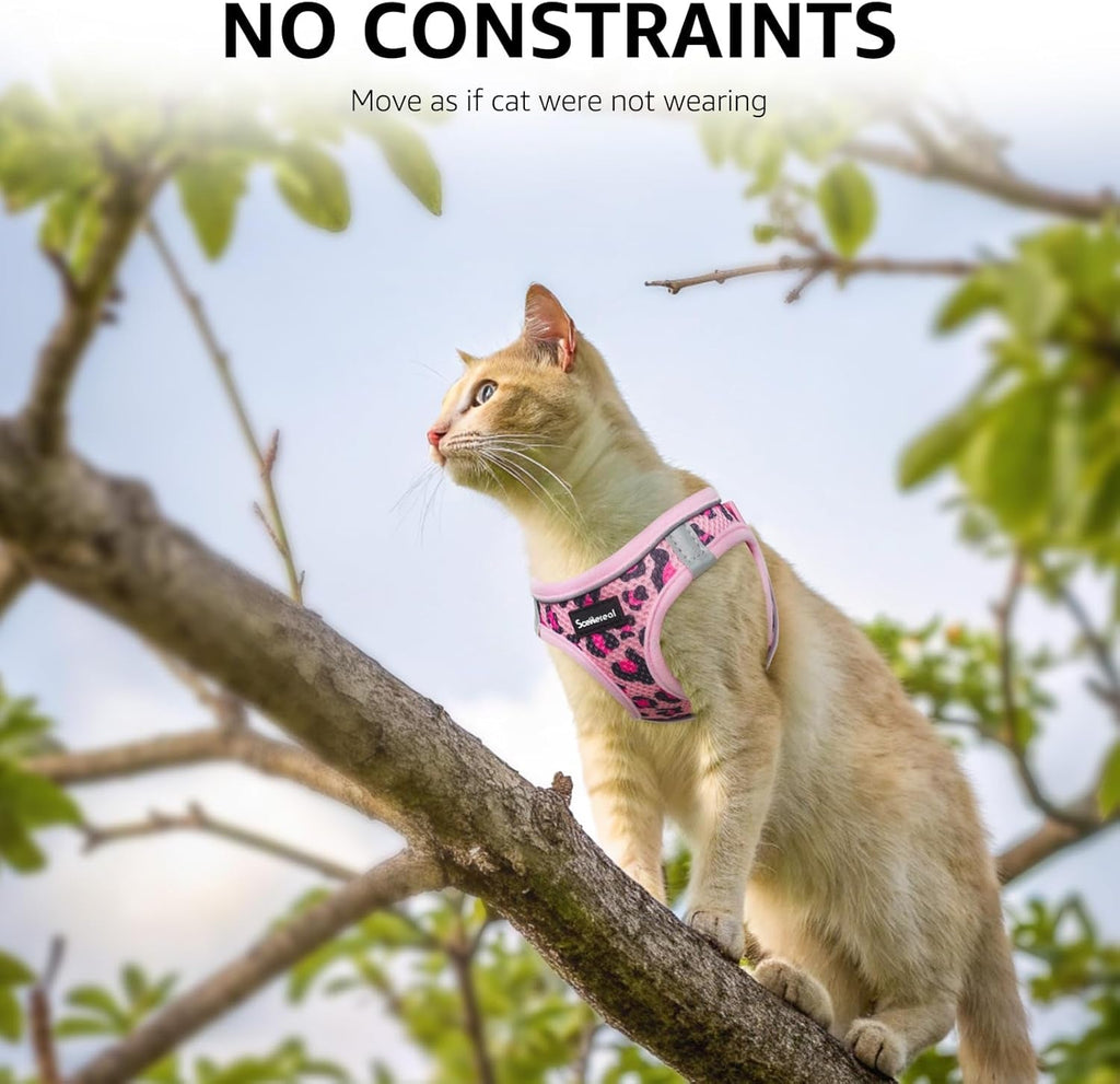 Cat Harness and Leash Set