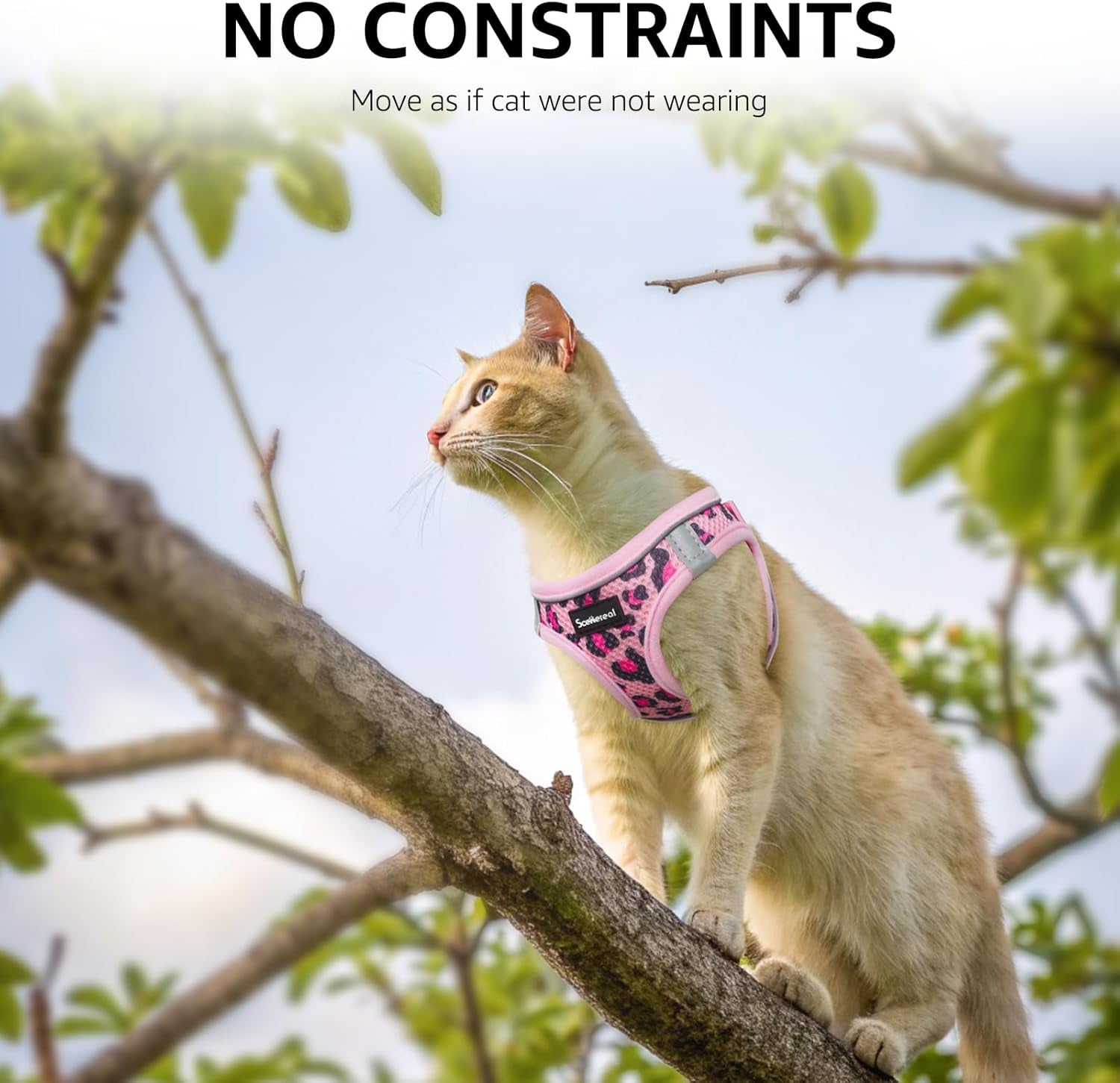 Cat Harness and Leash Set