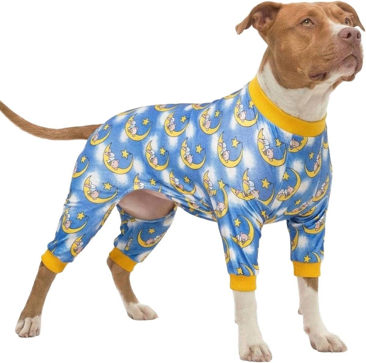 Dog Pajamas & Bodysuit